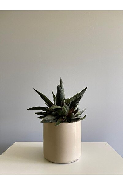 odka 8litre Silindir Saksı Tabaklı Yükseklik:17cm Çap:20cm Taş