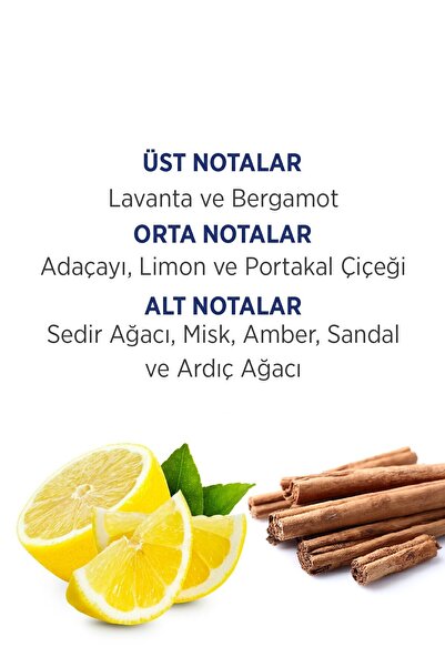 First Class Edt 100 ml Erkek Parfümü Deodorant 150 ml