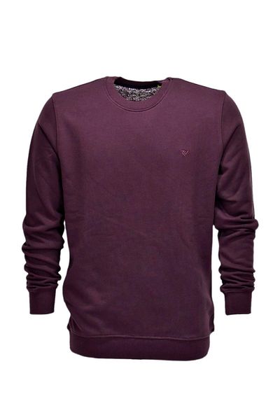 Raymons Мъжки спортен суитшърт с кръгло деколте R2247 BGL-ST03188