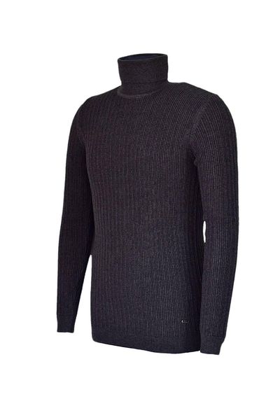 Raymons Men's Sports Turtleneck Sweater - R22897 BGL-ST03178