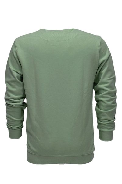 Raymons Мъжки спортен суитшърт с щампа и кръгло деколте R2201 BGL-ST03191