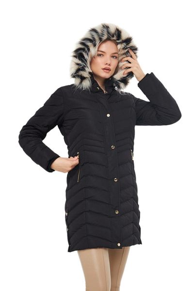 DYNAMO Women's Large Size Hooded Sports Coat M5302 BGL-ST03221