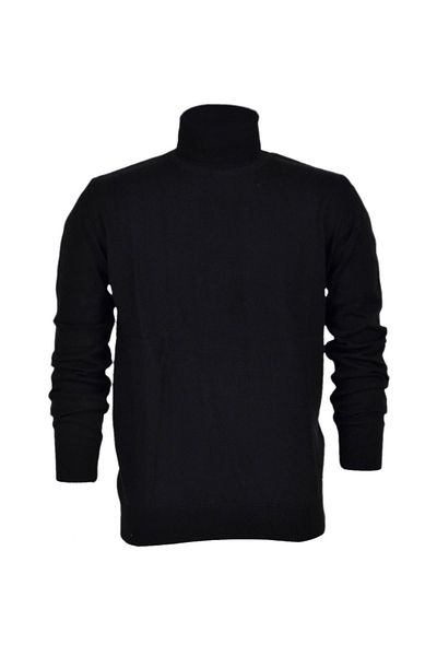 Raymons Men's Sports Straight Turtleneck Sweater R21010 BGL-ST03179