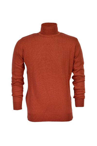 Raymons Men's Sports Straight Turtleneck Sweater R21010 BGL-ST03179