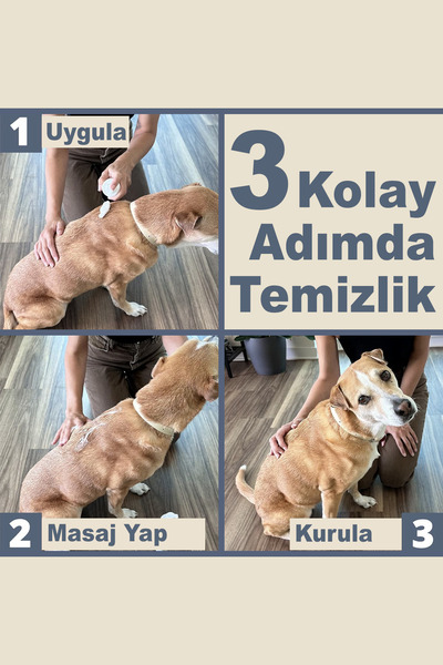 Dalipet Köpek Kuru Şampuan, Bit Pire Dış Parazit Kene Uyuz Damla Önleyici Tasması Tarağı ile Kullanılabilir