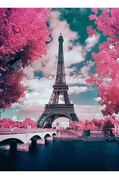 MARCEL SANAT Pink Flowers And Eiffel Diamond Mosaic Painting 40x55 Cm