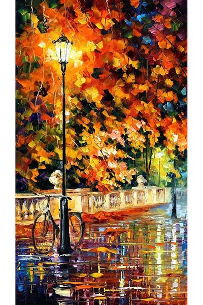 MARCEL SANAT Leonid Afremov Bicycle Diamond Mosaic Painting 30x55cm