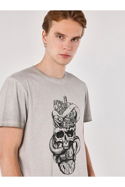 Colin's Regular Fit Crew Neck Printed Gray Men's Short Sleeve T-Shirt Cl 1060079