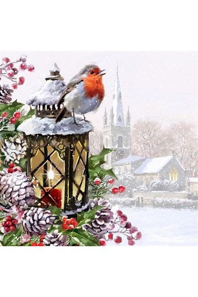 MARCEL SANAT Snow Bird Diamond Mosaic Painting 53x53cm