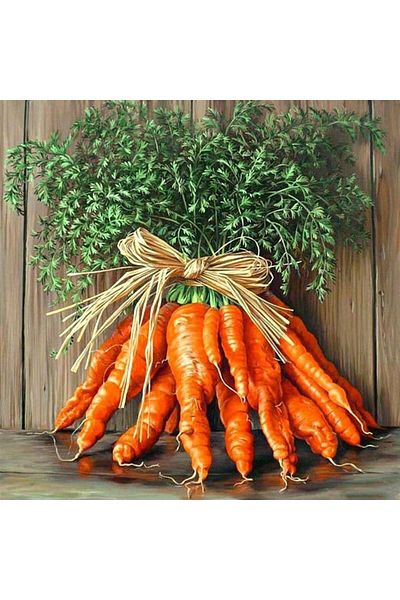 MARCEL SANAT Fresh Carrot Bunch Diamond Mosaic Painting 41x41cm