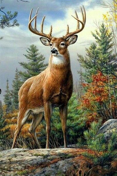 MARCEL SANAT Deer Diamond Mosaic Painting 35x55 Cm