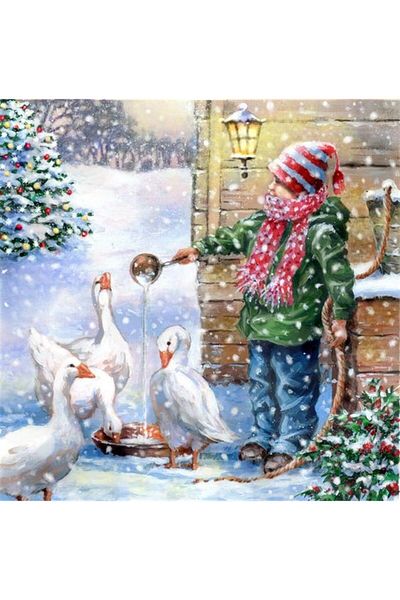 MARCEL SANAT Marcel Art - Diamond Mosaic Painting for Little Boy and Gooses 51x51cm
