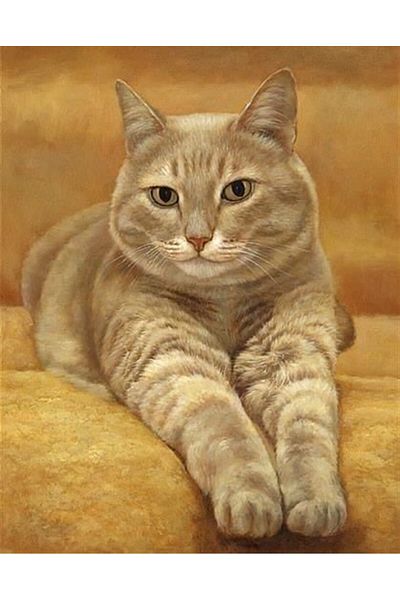MARCEL SANAT Yellow Cat Diamond Mosaic Painting 36x46cm