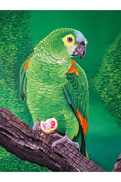 Marcel Kristal Tablo Πράσινος Παπαγάλος Marcel Art Diamond Μωσαϊκό Πίνακας 48x64cm