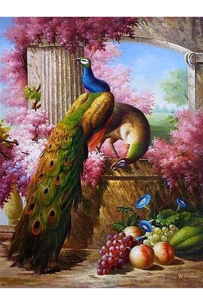 MARCEL SANAT Peacock Diamond Mosaic Painting 51x66 Cm