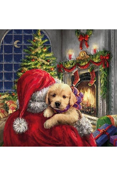 MARCEL SANAT Santa Claus's Little New Year's Gift 50x50cm