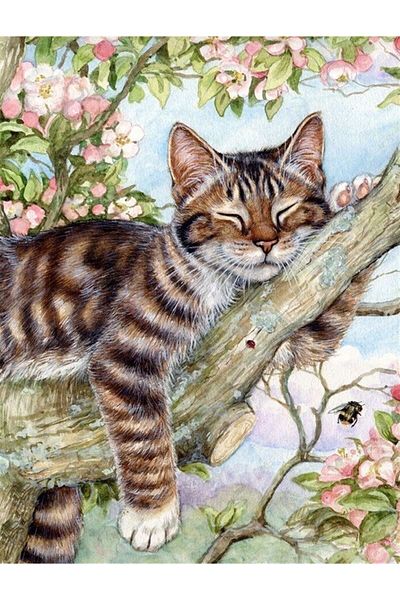 MARCEL SANAT Cat Sleeping on a Tree Diamond Mosaic Painting 46x61cm