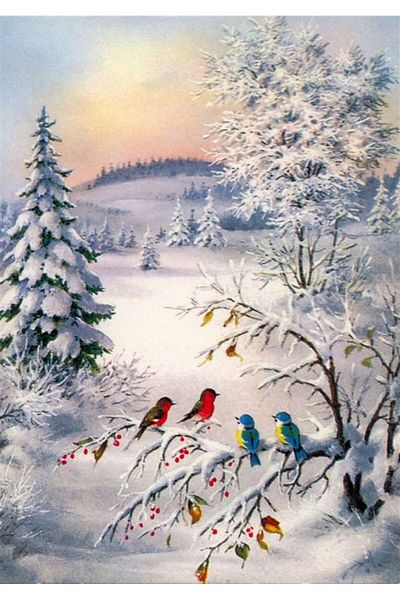 MARCEL SANAT Colorful Birds in the Snow Diamond Mosaic Painting 38x53cm