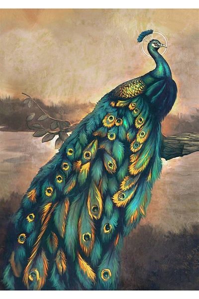 Marcel Kristal Tablo Green Peacock Diamond Mosaic Painting 46x66cm