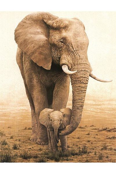 dialands Elephant Family - Relaxed Fit