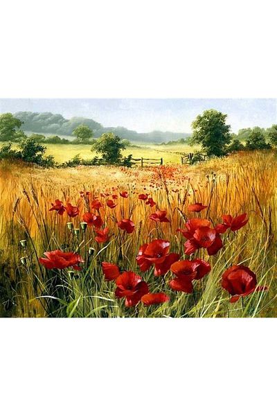 MARCEL SANAT Poppies in the Virgo Field Diamond Mosaic Painting 71x56cm
