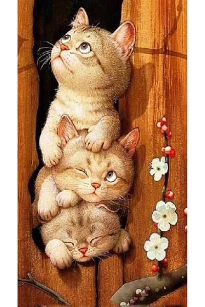 Marcel Kristal Tablo Three Cute Cats Marcel Art Diamond Mosaic Painting 41x76cm