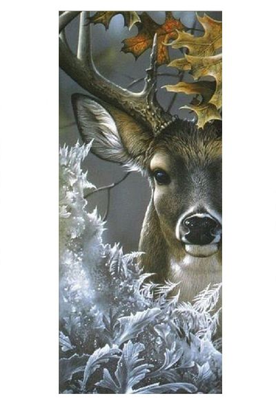 dialands Deer - Stylish and Comfortable Design