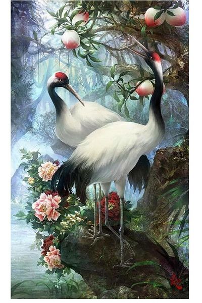 dialands Birds - Comfortable and Stylish Design