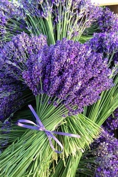 MARCEL SANAT Lavender Bouquets Marcel Art Diamond Mosaic Painting 36x53 Cm