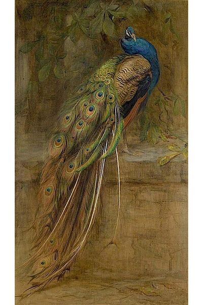 MARCEL SANAT Noble Brown-blue Peacock Diamond Mosaic Painting 40x65cm