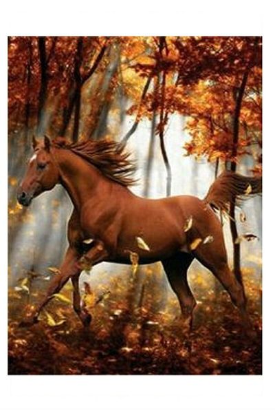 dialands Horse