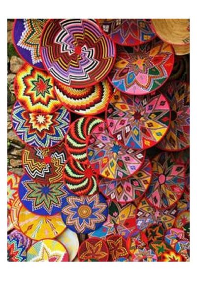 dialands Colorful Design