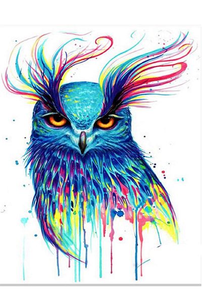 dialands Owl