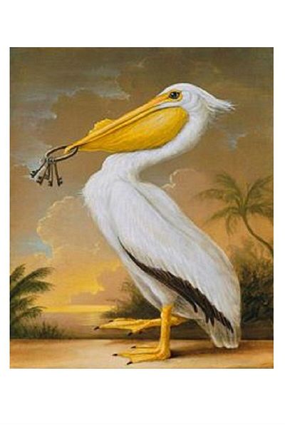dialands Pelican Design
