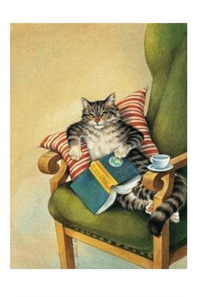 dialands Cat - Stylish and Purpose Cat