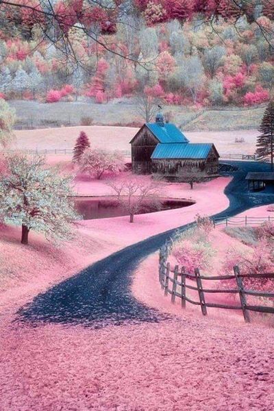 MARCEL SANAT Sakura Village Diamond Mosaic Painting 38x55cm