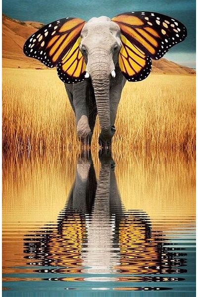 Marcel Kristal Tablo Elephant with Butterfly Ears Marcel Art Diamond Mosaic Painting 58x89cm