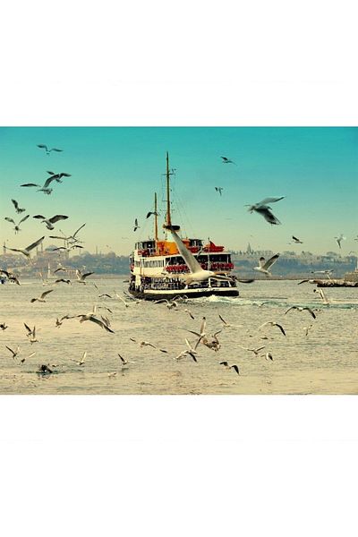 dialands Island Steamer
