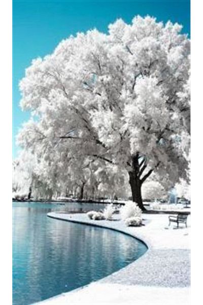 MARCEL SANAT White Magic Marcel Art Diamond Mosaic Painting 38x64cm