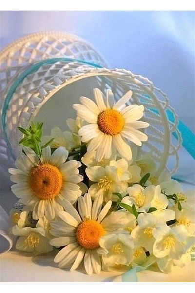 MARCEL SANAT Daisy Basket Diamond Mosaic Painting 36x50cm