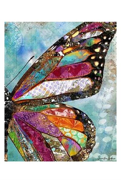 dialands Butterfly Design