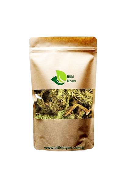 bitki diyarı Match Seed (Lycopodiun Clavatum) 500gr