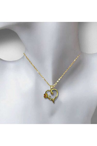 Dodemert Home Güllü Zirkon Taşlı Kalp Gold Çelik Kolye
