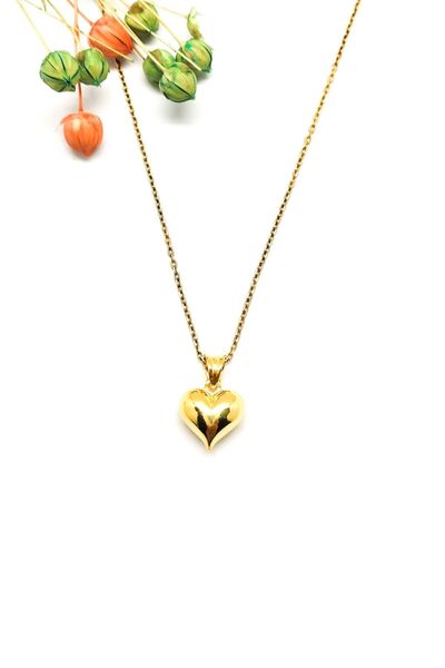 Kalp Figürlü Gold Renk Gümüş Kolye