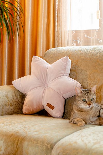 Rayda Home وسادة نجمة مخملية بلون مسحوق - ستار 42*42 سم