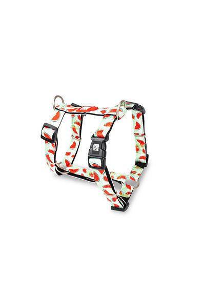 Max & Molly Watermelon Dog Harness