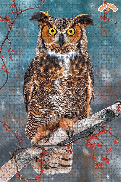 Teona Ahşap Büyük Boynuzlu Baykuş Dekoratif Çift Katlı Çerçeveli Asılabilir A...