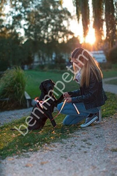 KERBL Reflective Dog Collar 40 - 55 cm