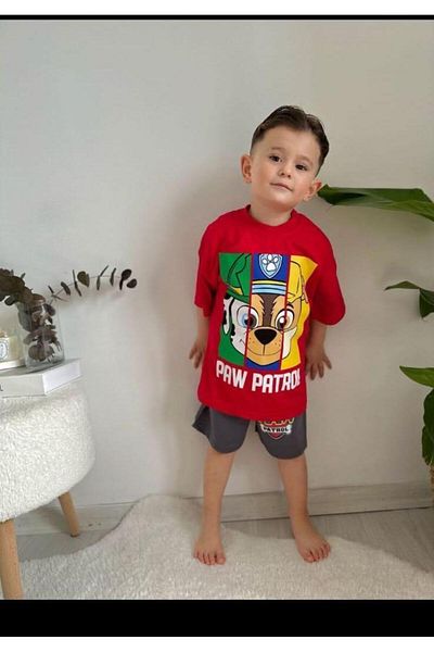 öykümgaleria Boy's Summer Shorts Set - Paw Petrol Bottom and Top Set
