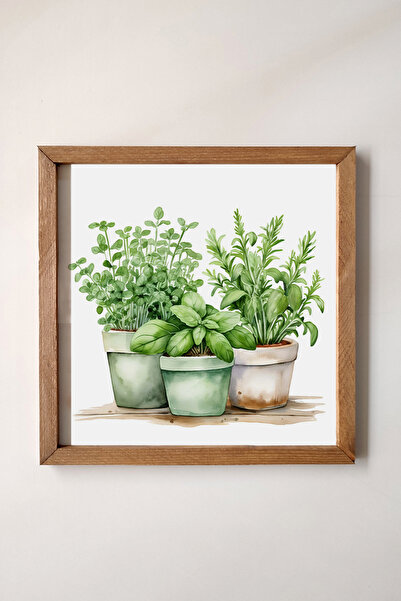 Tooall Ahşap Çerçeveli, Sulu Boya Efektli Saksıda Fesleğen, Defne Yaprağı Tab...